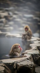 Obraz premium Japanese Macaques Enjoying a Hot Spring Bath in Winter.