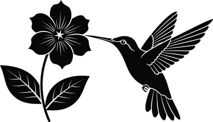 Obraz premium Elegant black silhouette hummingbird drinking nectar from blooming flower, detailed vector illustration perfect for nature artwork, decorative designs, wildlife themes, and creative graphic projects