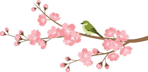 Elegant green bird perched on blooming cherry blossom branch with soft pink flowers in delicate spring botanical vector illustration design artwork