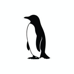 Naklejka premium Black and White Penguin Silhouette