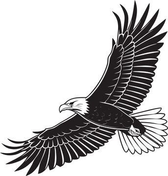 Majestic eagle silhouette in flight detailed wings