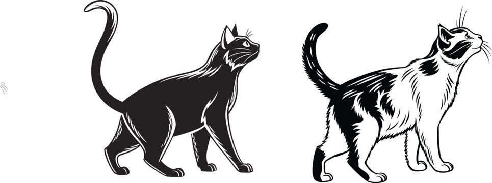 Realistic single cat silhouette smooth design