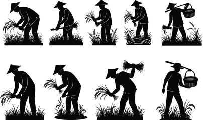 Rice, harvest, silhouette, posture, gesture, stalk, bundle, basket, hat, inspect, carry, bend, crop, soil, traditional, agriculture, setup, vector, black, pose, flavector