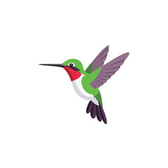 Obraz premium Vibrant Hummingbird in Flight