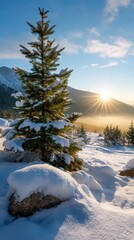 Fototapeta premium Winter in mountain forest during sunset. Golden hour in dreamlike landscape with snow covered spruce trees and mist in valley. Natural background