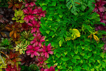 Vibrant Tropical Vertical Garden Wall