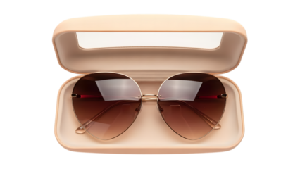 Sunglasses inside a protective case on a transparent background