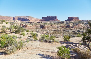 The desert scenery of Canyonlands' Island in The Sky district