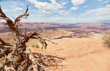 White Rim Overlook in Canyonlands' Island in The Sky district