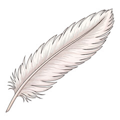 Minimalist Vector Illustration of Feather in Organic Style with Soft Neutral Colors