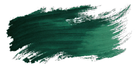Textured dark green brush stroke with visible bristles on black background