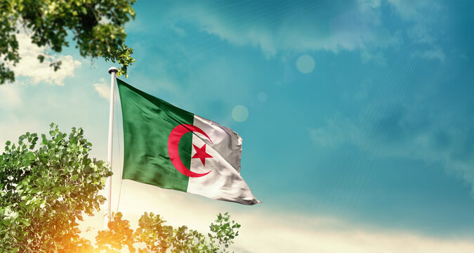 Algeria national flag waving in the sky behind the tree. The flag blowing with beautiful sunlight. Algeria national flag for independence day. - Powered by Adobe