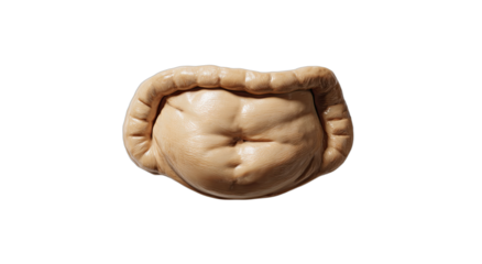 Sculpted, bulbous, textured form resembling a navel with folded skin edges