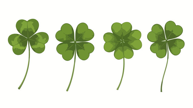 Four-leaf clover and three-leaf clover illustrations on a white background, symbolizing luck and nature