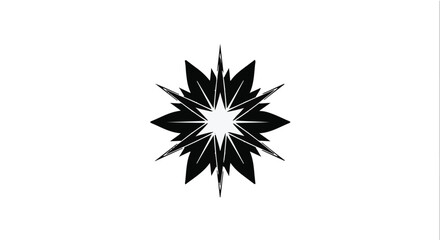 Abstract burst of sharp black petals radiating from a bright white center on a clean white background.