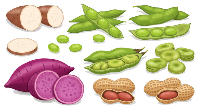 Assortment of various root vegetables and legumes including yuca, purple sweet potato, edamame, fava beans, and peanuts.