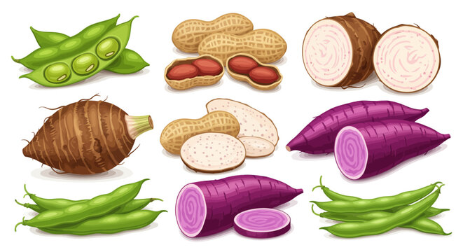 A vibrant collection of various legumes and root vegetables including edamame, peanuts, taro, and purple sweet potatoes.