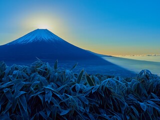 冬の朝の山梨県富士河口湖町 竜ヶ岳山頂から熊笹と富士からの日の出