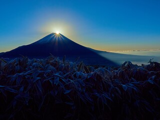 冬の朝の山梨県富士河口湖町 竜ヶ岳山頂から熊笹越しにダイヤモンド富士を眺める