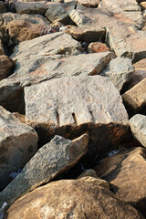 Trivandrum India December 3 2025 : Closeup of stacked coastal rocks used as breakwater shows rugged texture and natural pattern in warm evening light.​​