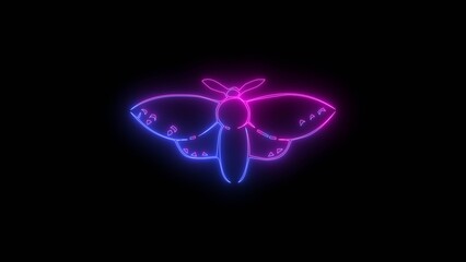Glowing neon beautiful Butterfly Line Illustration.4k