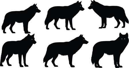 Wolf silhouette collection, standing wolf poses, black vector shapes, animal posture design, editable illustration, wildlife reference, fur detail, nature