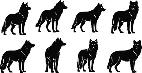 Wolf silhouette set, animal posture collection, black vector wolves, wildlife illustration, editable design, nature reference, standing pose, fur detail