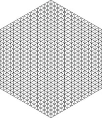 Intricate geometric pattern featuring a dense triangular grid within a hexagonal shape, creating a modern and abstract black and white background texture suitable for design projects