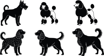 Dog Grooming Breeds Black Silhouette Vector Collection, Set of Poodle, Spaniel, and Schnauzer Canine Profiles with Styled Fur Cuts, Pet Care, Grooming Salon, and Professional Animal Service Graphic
