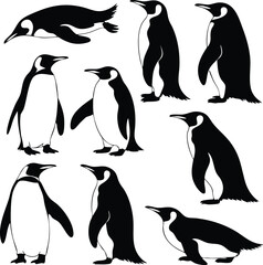 Emperor Penguin Silhouettes in Various Poses, Vector Set of Penguin Silhouettes, Black and White Illustrations of Penguins, Nine Poses of Emperor Penguins, silhouette, illustration, vector