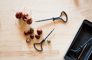 Tools for crafting with chestnuts in autumn