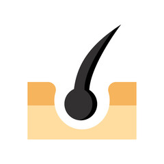 Hair follicle on white background.