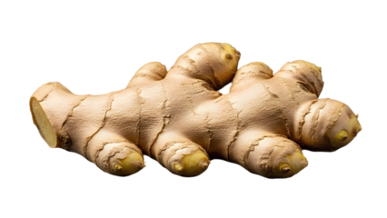 Fresh ginger root isolated close up image isolated on transparent background