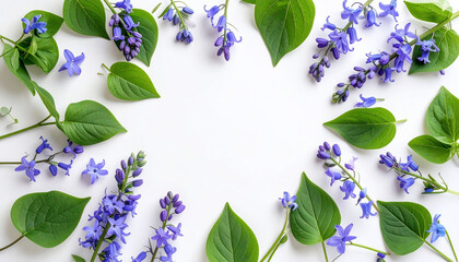 Bluebell Floral Frame on White