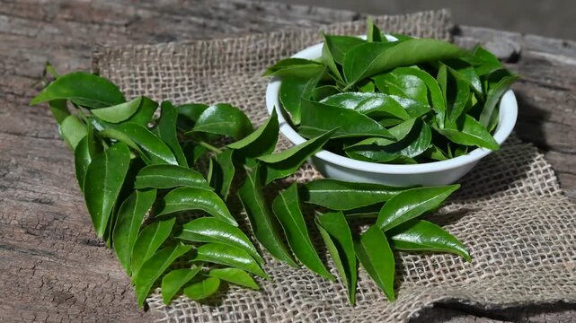 Fresh curry leaves on a dark moody background full depth of field and wooden background