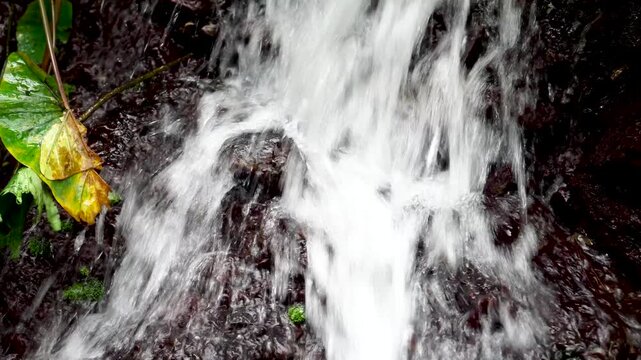 An extreme, dynamic close-up of a flowing mini waterfall. Clear, foaming white water cascades over the surface of dark, wet rocks.