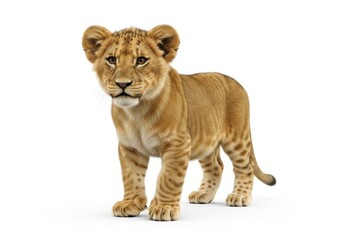 Young feline cub with distinctive markings stands facing forward against a plain backdrop