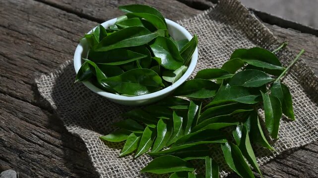 Fresh curry leaves on a dark moody background full depth of field and wooden background