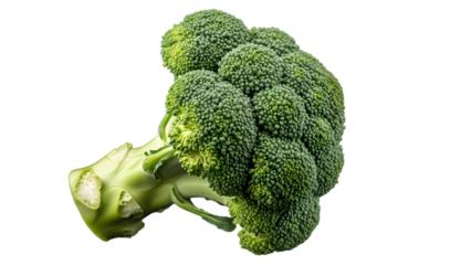 Fresh green broccoli floret close up isolated on transparent background