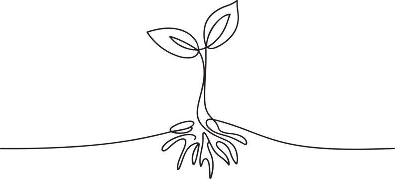 Sprout with roots. Continuous one line drawing.one line  vector illustration  with out background