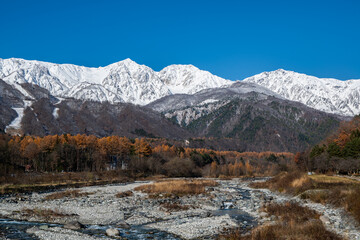 冠雪した晩秋の北アルプス　長野県白馬村