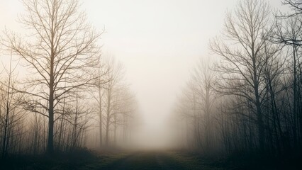 Misty forest path with bare trees on a foggy morning, creating an ethereal and mysterious atmosphere.