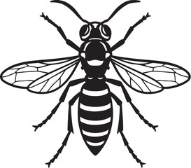 Hornet Dorsal View Powerful Vector Line Illustration.eps