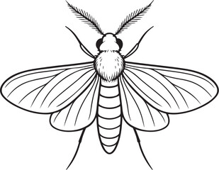 Moth Detailed Geometry.eps