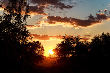 Obraz premium Brilliant summer sunset flares intensely between dark tree silhouettes, casting a warm, dramatic glow across the horizon and textured clouds