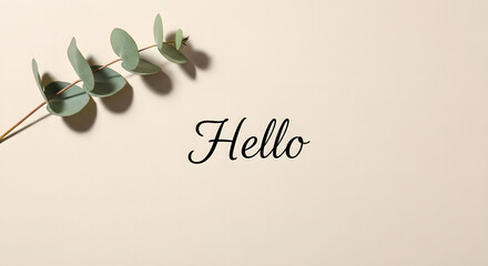 Minimalist natural background featuring a fresh eucalyptus branch casting soft shadows, paired with a charming cursive 'Hello' message, perfect for tranquil greetings and serene invitations