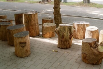 Rustic Tree Stump Log Seats in an Outdoor Public Park