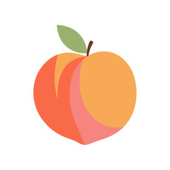 Peach Vector Illustration