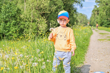 A curious little boy bends down to explore vibrant wildflowers along a path, capturing the innocence of childhood and connection to nature's beauty and diversity