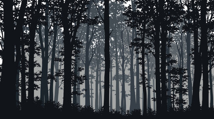 A dense, dark forest with tall trees silhouetted against a misty, atmospheric background.